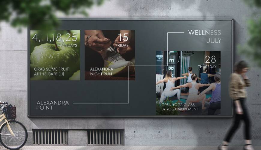 清河县画册设计公司如何进行品牌审核